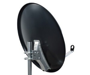 Asat Schotel 100 cm (Alleen afhaling)