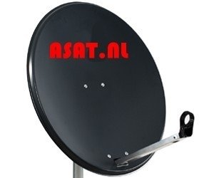 Asat Schotel 100 cm (Alleen afhaling)