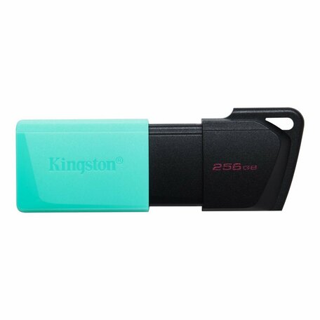 Kingston Technology DataTraveler Exodia M USB flash drive 256 GB USB Type-A 3.2 Gen 1 (3.1 Gen 1) Zwart, Turkoois