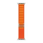 Watch Alpine Loop Chain Strap